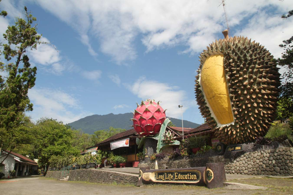 Tempat Wisata di Bogor yang Murah dan Juga Menyenangkan