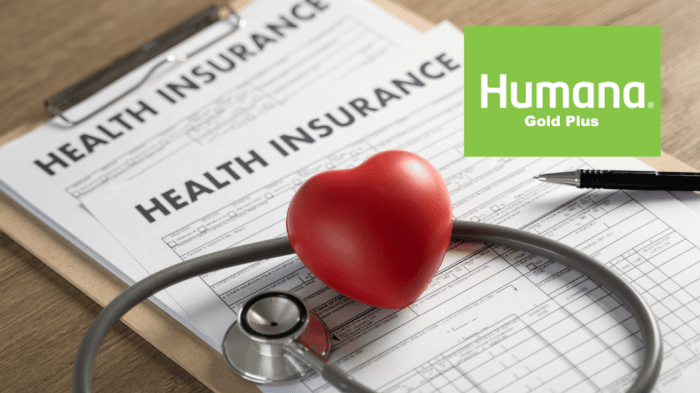 Humana gold insurance