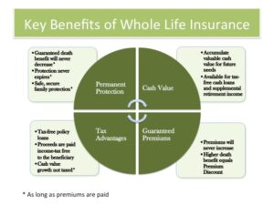 Humana whole life insurance