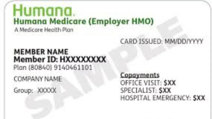 Humana gold choice hmo