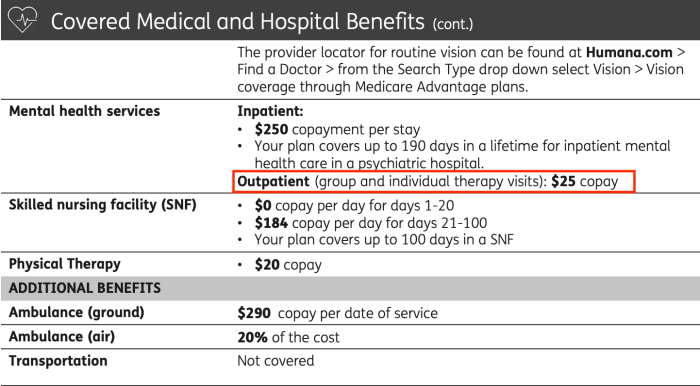 Humana medical coverage