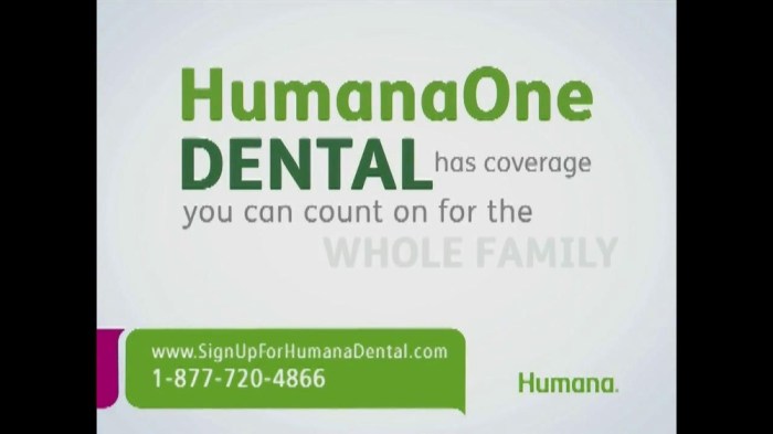 Humana supplemental dental insurance