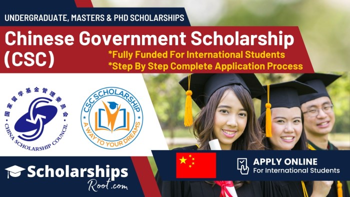 Chinese government scholarship