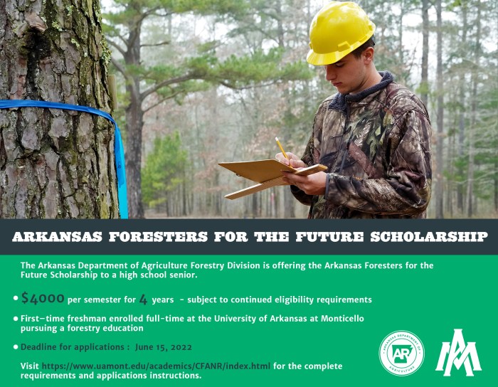 Lumberjack scholarship