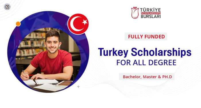 Türkiye scholarships