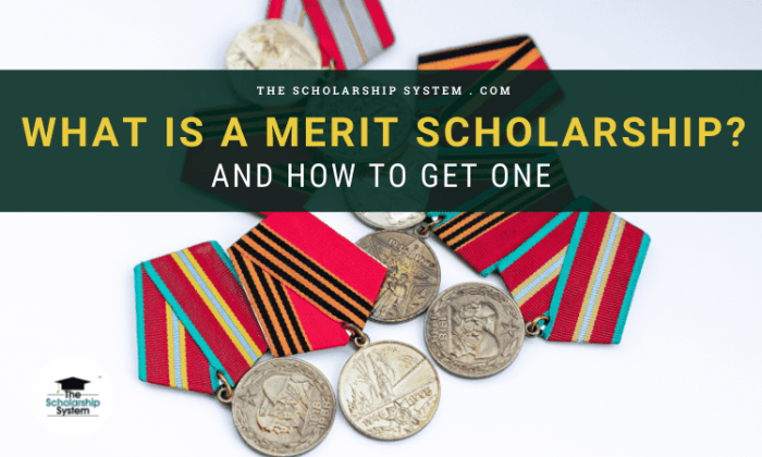 Merit scholarship national program understanding