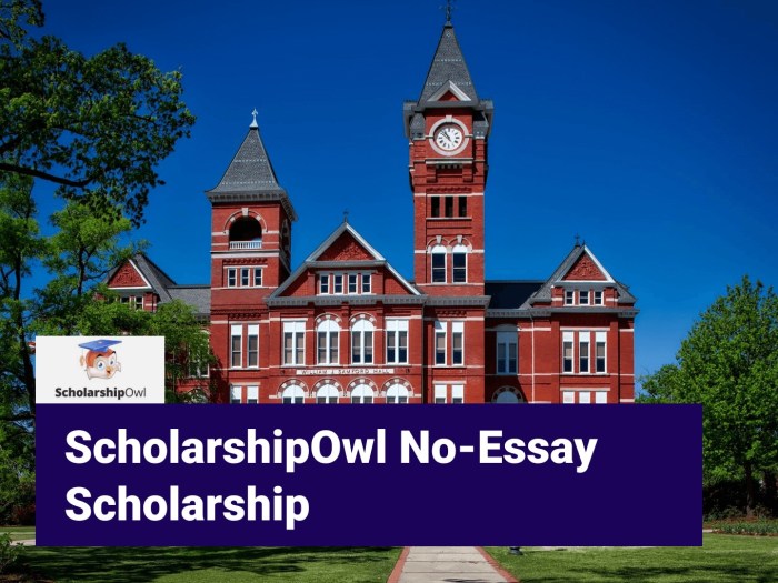 Scholarship owl